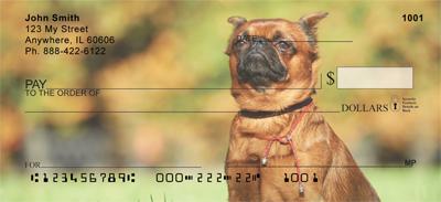 Brussels Griffon