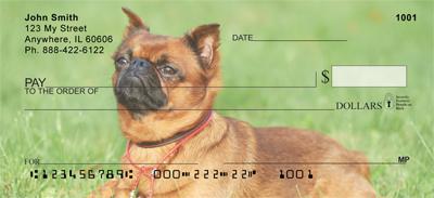 Brussels Griffon