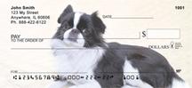 Japanese Chin
