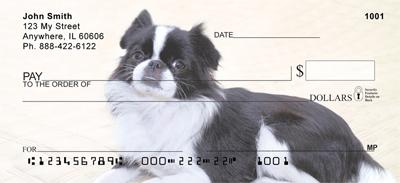 Japanese Chin