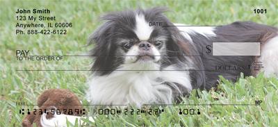 Japanese Chin