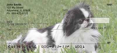 Japanese Chin