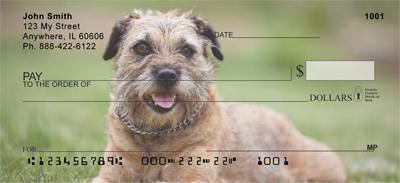 Border Terriers