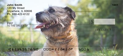 Border Terriers