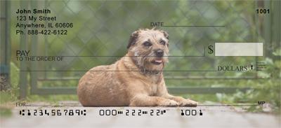 Border Terriers