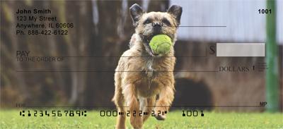Playful Border Terriers