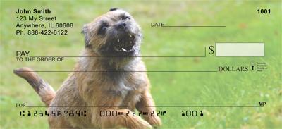 Playful Border Terriers