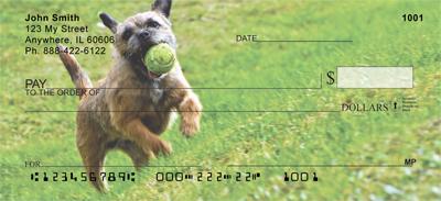 Playful Border Terriers