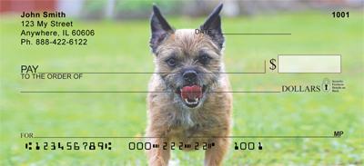Playful Border Terriers