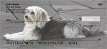 Old English Sheepdogs
