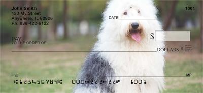 Old English Sheepdogs