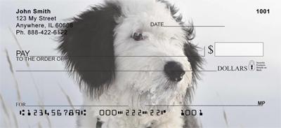 Old English Sheepdogs