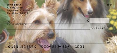 Silky Terriers