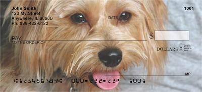 Silky Terriers