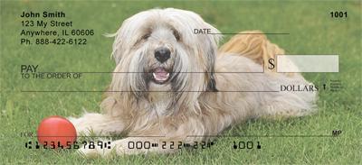 Tibetan Terriers