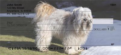 Tibetan Terriers