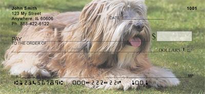 Tibetan Terriers