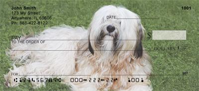 Tibetan Terriers