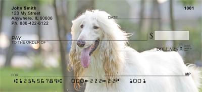 White Afghan Hounds