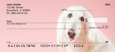 White Afghan Hounds