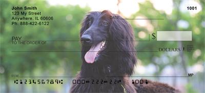 Black Afghan Hounds