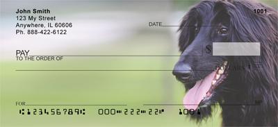 Black Afghan Hounds