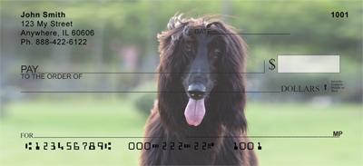 Black Afghan Hounds