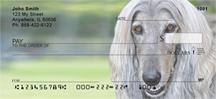 Grey Afghan Hounds