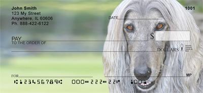 Grey Afghan Hounds