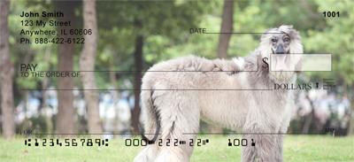 Grey Afghan Hounds