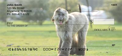 Grey Afghan Hounds
