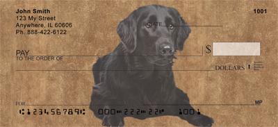 Flat-Coated Retrievers