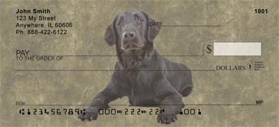 Flat-Coated Retrievers