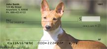 Basenjis