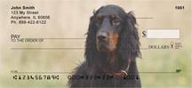 Gordon Setters