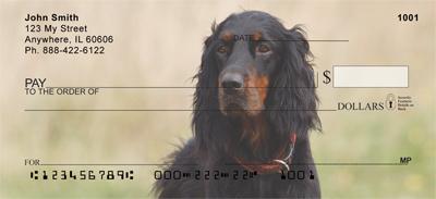 Gordon Setters