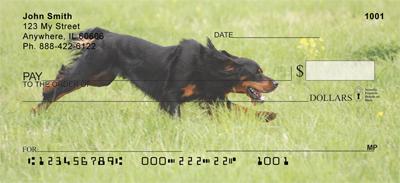 Gordon Setters