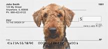 Welsh Terriers