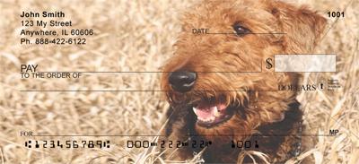 Welsh Terriers