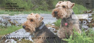 Welsh Terriers