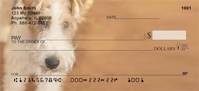 Wire Fox Terriers