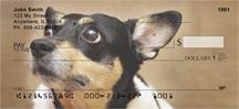 Toy Fox Terriers