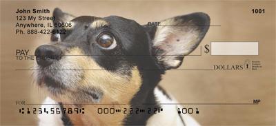 Toy Fox Terriers