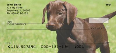 Pointer Puppies