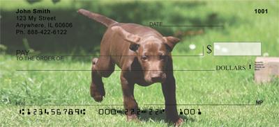 Pointer Puppies