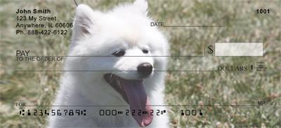 American Eskimo Dogs