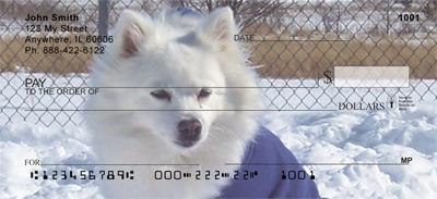 American Eskimo Dogs