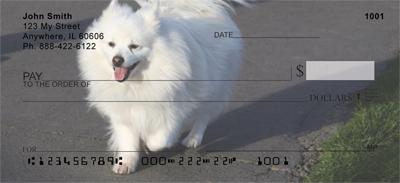 American Eskimo Dogs