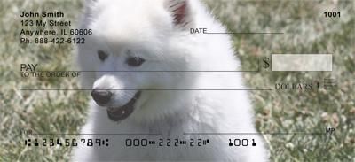 American Eskimo Dogs