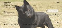 Schipperkes